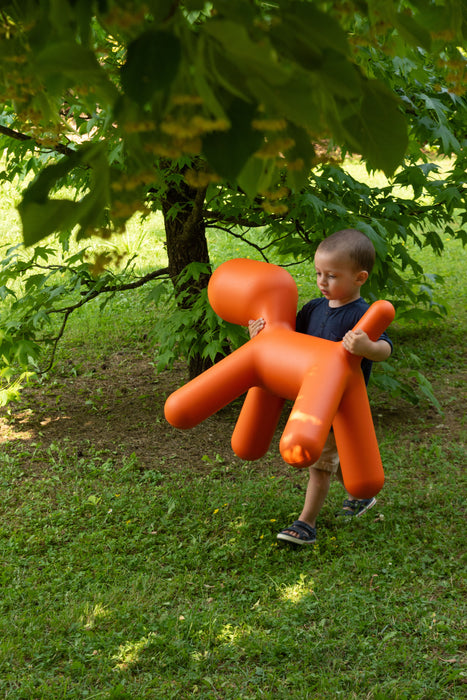 Puppy puppy orange - ambient