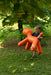 Puppy puppy orange - ambient