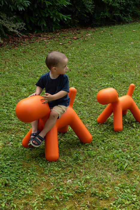 Puppy puppy orange - ambient