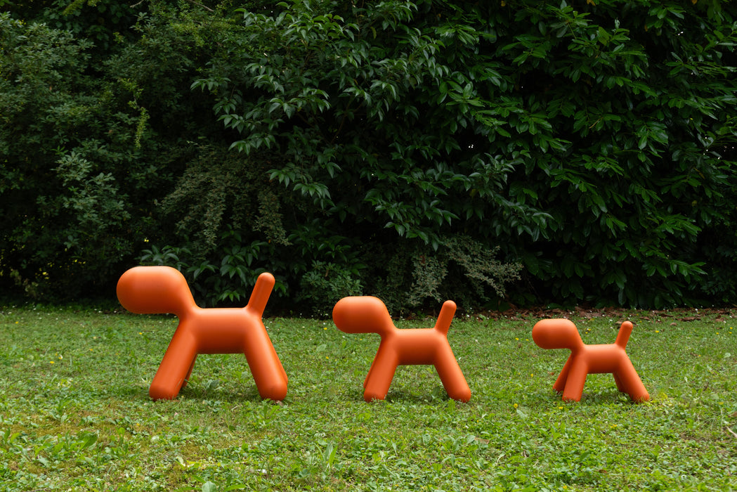 Puppy puppy orange - ambient