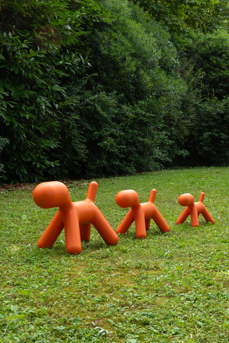 Puppy puppy orange - ambient