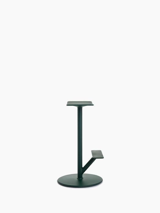 Sequoia sequoia dark green - studio