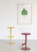 Tibu tibu lime red bordeaux leaves - ambient