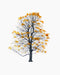 Tree tree autumn tree12 - studio