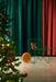 Trotter trotter green orange - ambient
