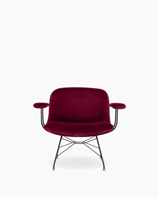 Troy troy black velvet purple - studio