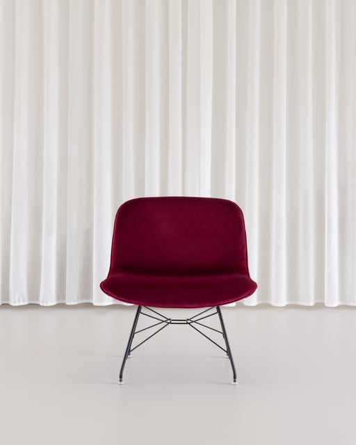 Troy troy black velvet purple - ambient