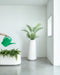 Tubby tubby plant pot white - ambient