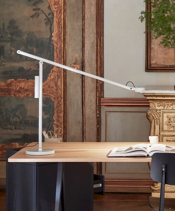 Fifty-Fifty Table Lamp